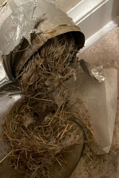 Dryer Vent Cleaning